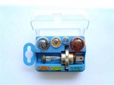 Auto Bulb & Fuse Kit H4