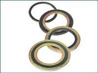 Spiral Wound Gasket