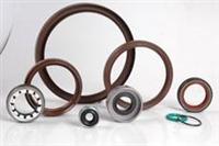 Oil Seals