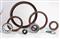 Oil Seals