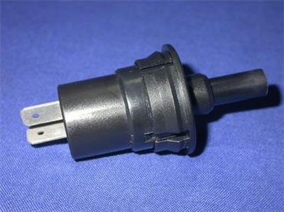 Door Lamp Switch (QTK-56)