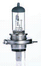 Auto Halogen Bulbs