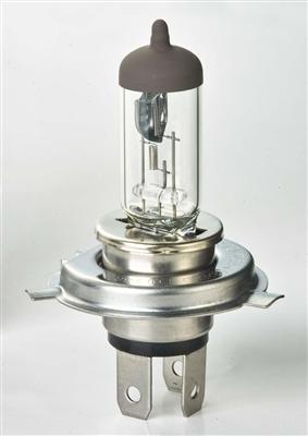 Auto Halogen Bulb