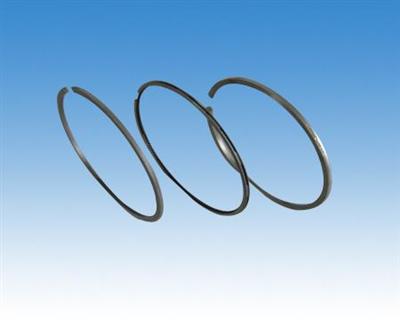 Piston Ring