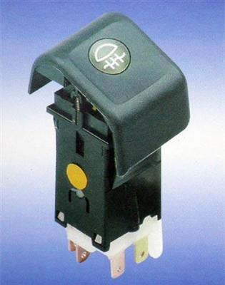 Rear Fog Lamp Switch (JK9031)