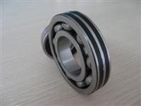 Extra-Large Size Bearings