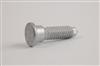 Standard & Non-Standard Screw  HJ010