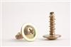 Standard & Non-Standard Screw HJ004