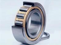 Cylindrical Roller Bearings 