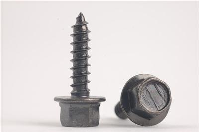 Standard & Non-Standard Screw  HJ008
