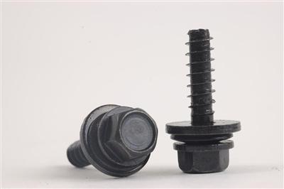 Standard & Non-Standard Screw  HJ013