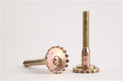 Standard & Non-Standard Screw  HJ014
