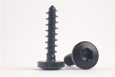 Standard & Non-Standard Screw   HJ016