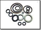 Oil Seal