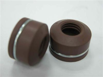 Oil Seal