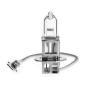 Auto Halogen Bulb H3 (Clear)