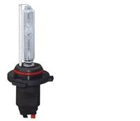 Supply HID Xenon Lamp (H10)
