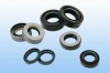 Oil Seal