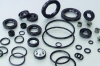 Oil Seal