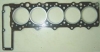 Cylinder Gasket  