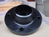 Weld Neck Flange