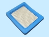 Auto Air Filter