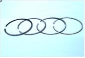 Piston ring