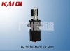 HID Lamp