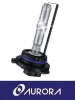 HID Lamp 9006