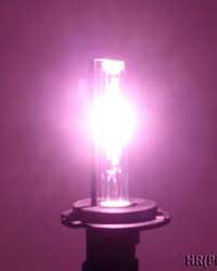 Hid Bulb
