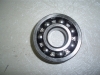 6304 Bearing