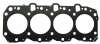 Cylinder Head Gasket