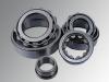 Cylinder Roller Bearings 