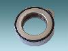 Thrust Bearing