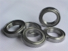 Stainless Steel Bearing