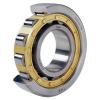 Cylindrical Roller Bearing