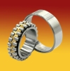 Double Row Cylindrical Roller Bearing