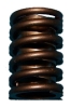 Auto Valve Spring