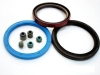 Oil Seal