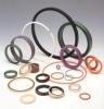 Oil Seal