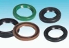 Oil Seal