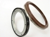 Oil Seal