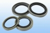 Oil Seal