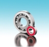 R Series Bearings