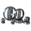 Stainless  Bearing