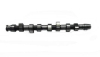 Camshaft For 1Y