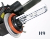 H9 HID Bulb 