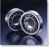 Deep Groove Ball Bearing