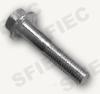 Hexagon Flange Bolts