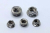 Hex Flange Nut 